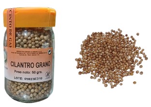 Cilantro grano