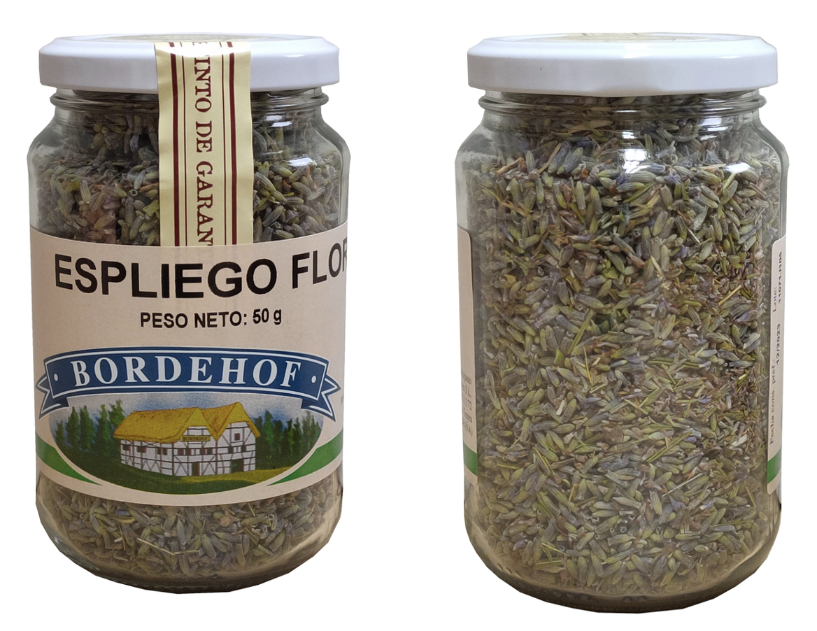 Captura de pantalla 2026 01 10 a las 11.57.18