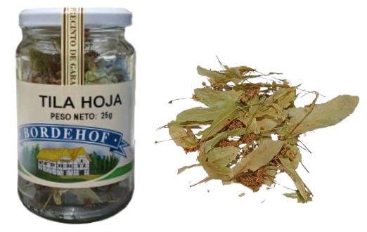 Tila hoja